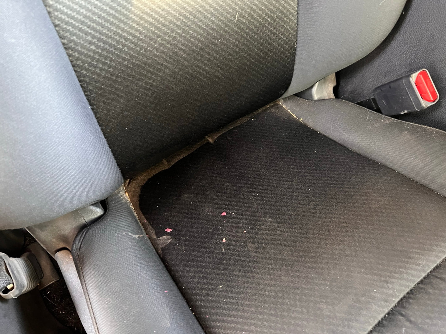 Seat And/Or Carpet Shampooing